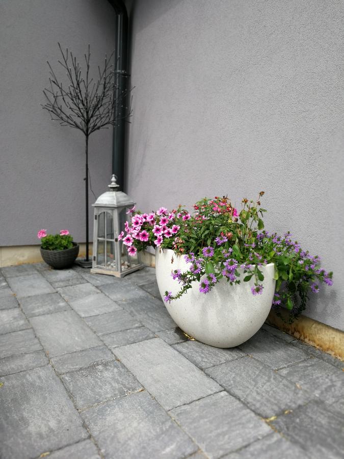 Zsinko Villa 佩奇 外观 照片